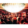 美国 GILDED LILY Club